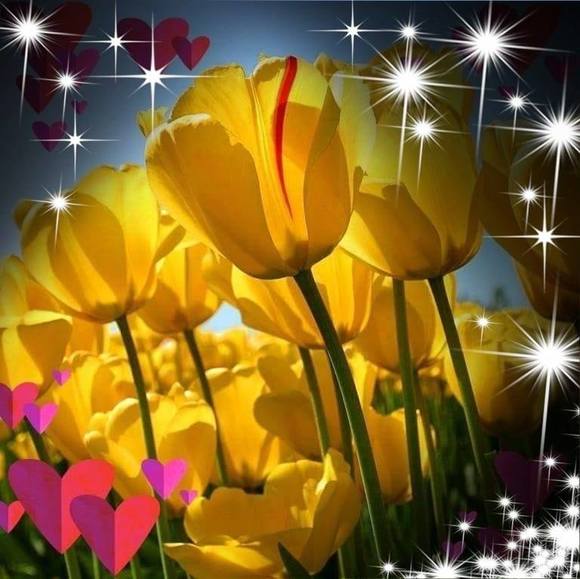 Meet your Posher, Basimah - Picture 1 of 1